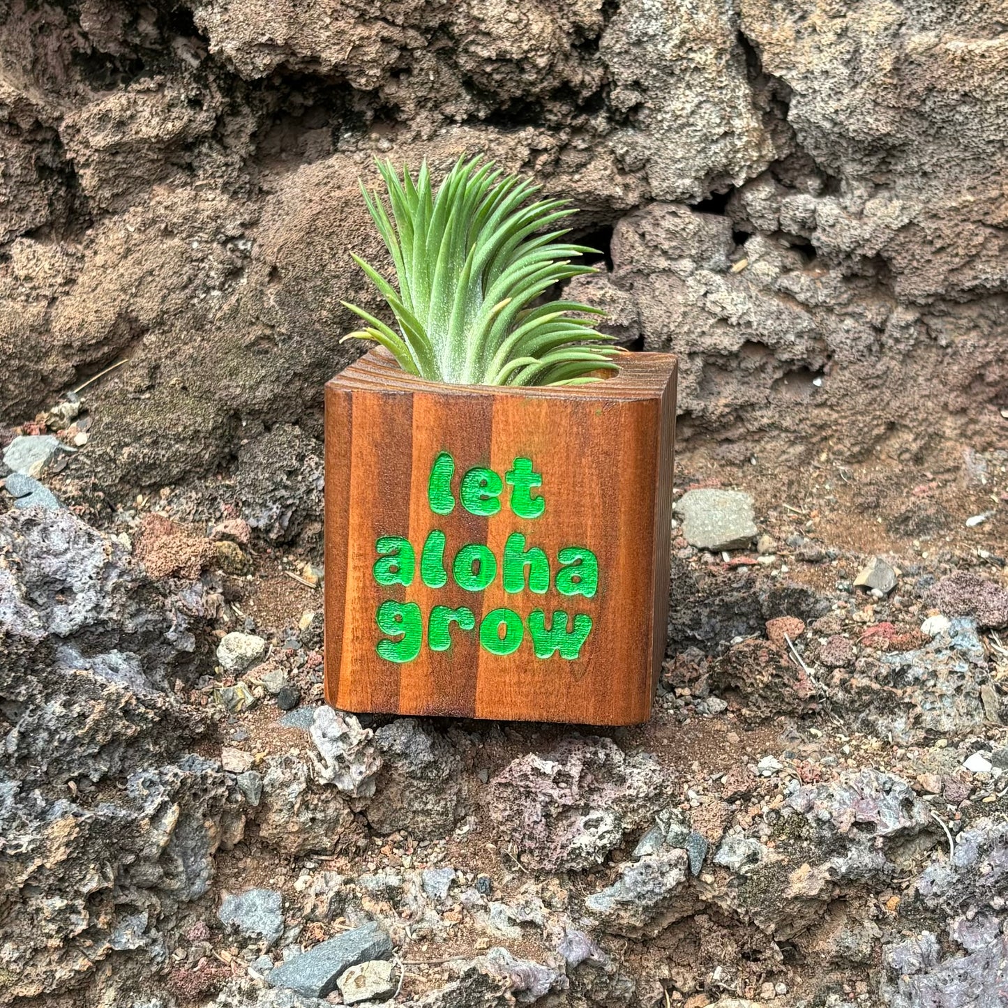 Planter - Dark Stain - “let aloha grow”