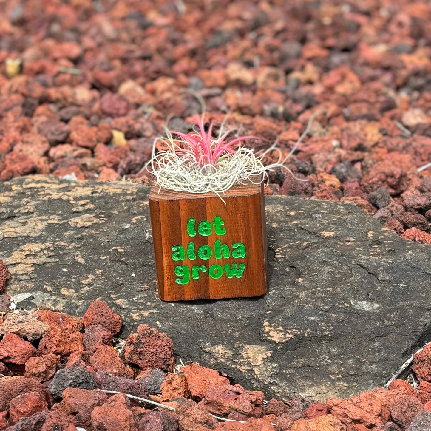 Planter - Dark Stain - “let aloha grow”