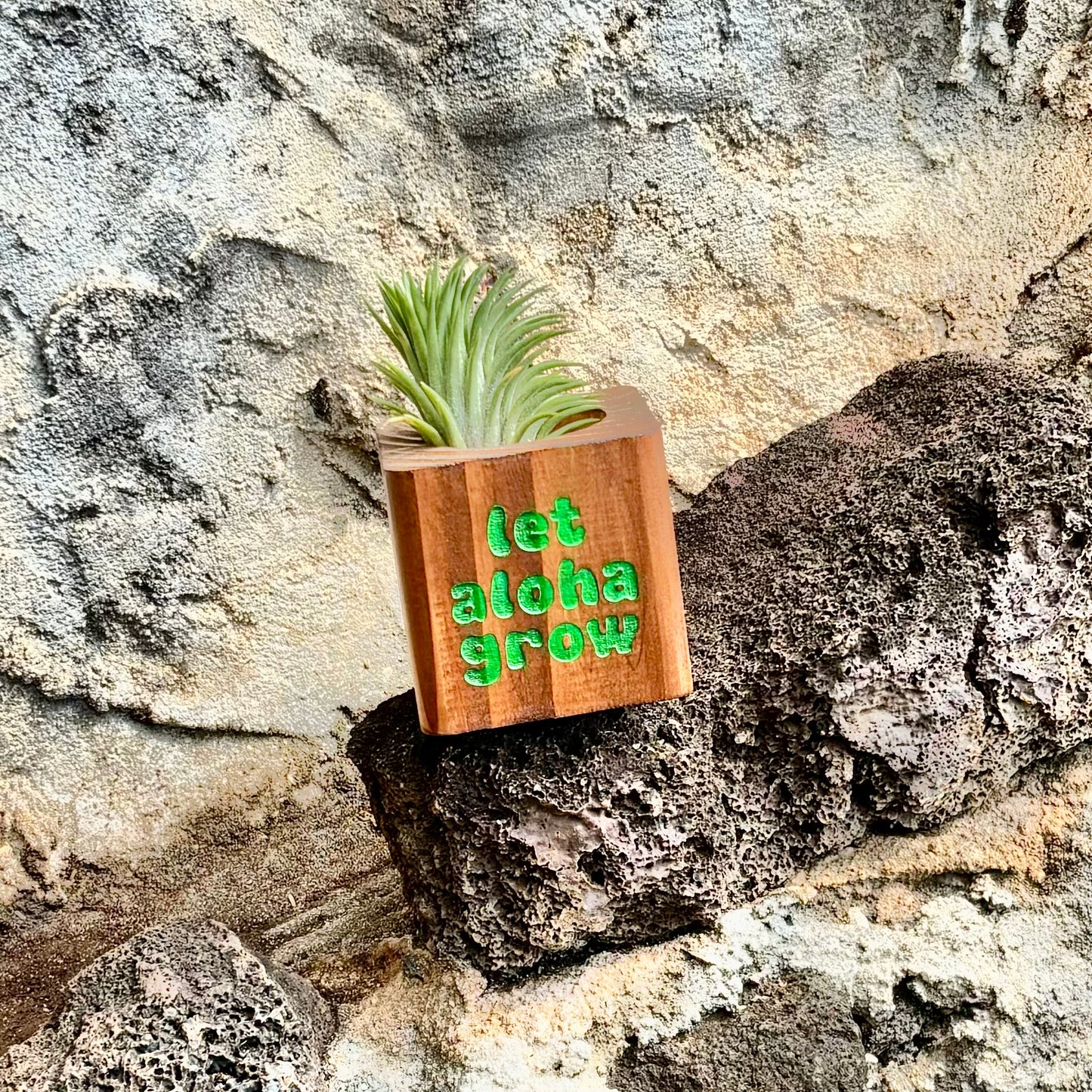 Planter - Dark Stain - “let aloha grow”