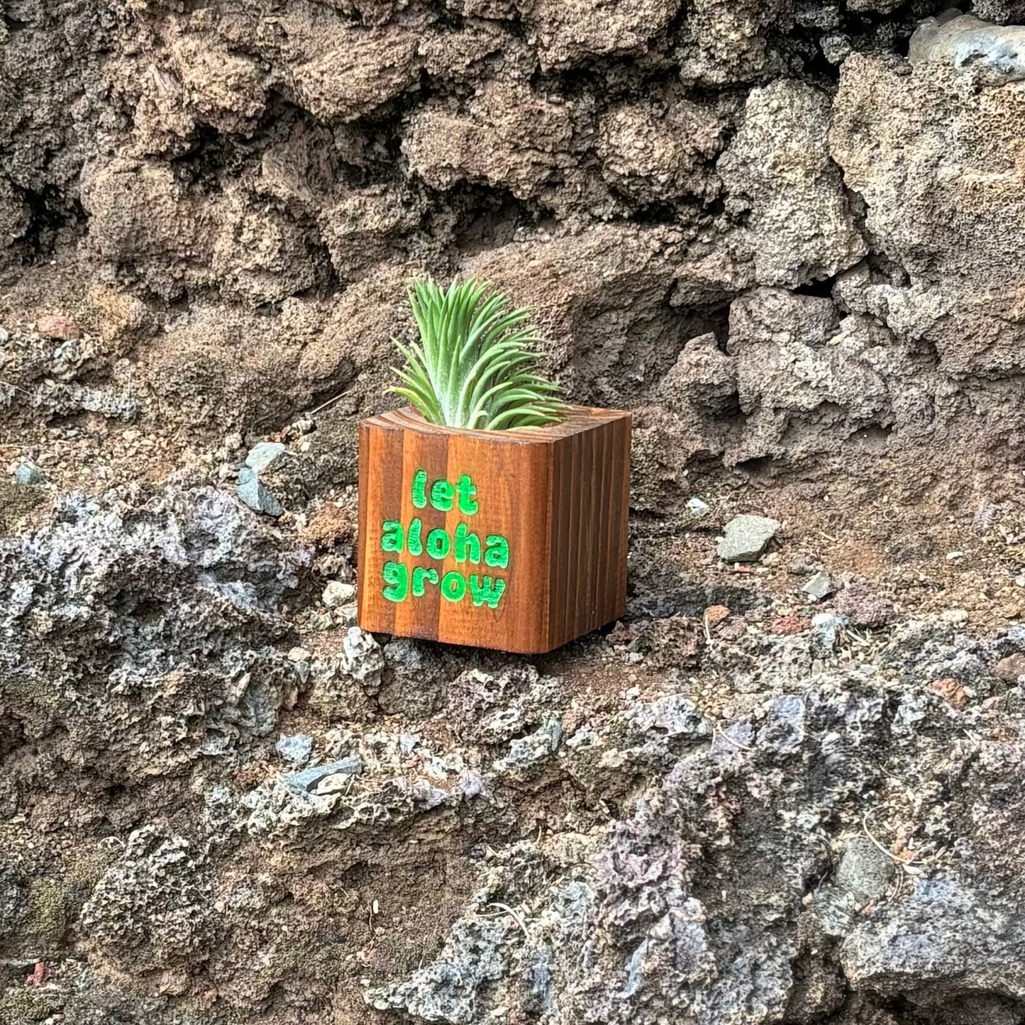 Planter - Dark Stain - “let aloha grow”